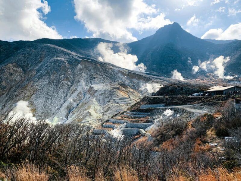 Tokyo: a Full Day Trip of Mount Hakone Including Travel Pass - Volcanic Wonders of Owakudani