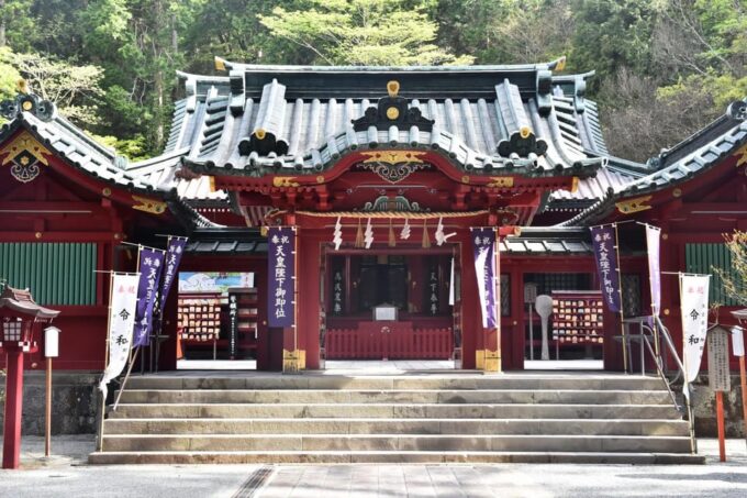 Tokyo: a Full Day Trip of Mount Hakone Including Travel Pass - Hakone Ropeway Panorama