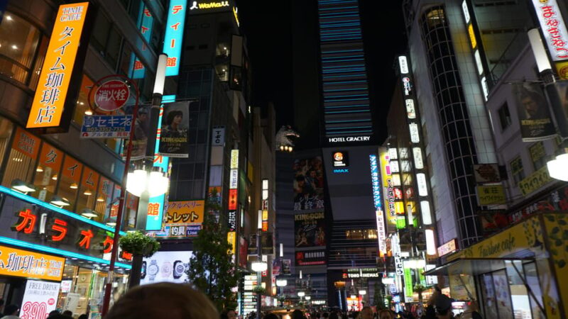 Tokyo After Dark: The Ultimate Shinjuku Local Bar&Food Tour - Key Points