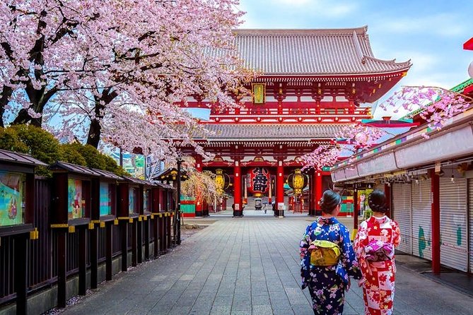 Tokyo Airport Transfers: Tokyo-Narita Airport NRT to Tokyo City in Luxury Van - Luxury Van and Professional Driver