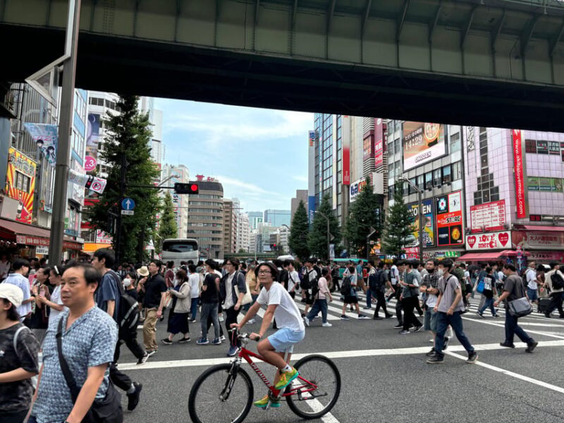 Tokyo: Akihabara Anime and Gaming Private Tour - Key Points