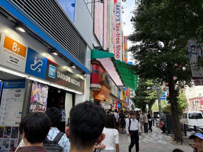 Tokyo: Akihabara Anime and Gaming Private Tour - Akihabara Tour Highlights and Inclusions