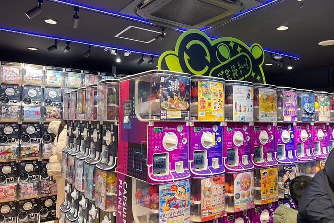 Tokyo Akihabara Anime Manga Video Games and Hidden Gems Tour - Anime and Manga Highlights