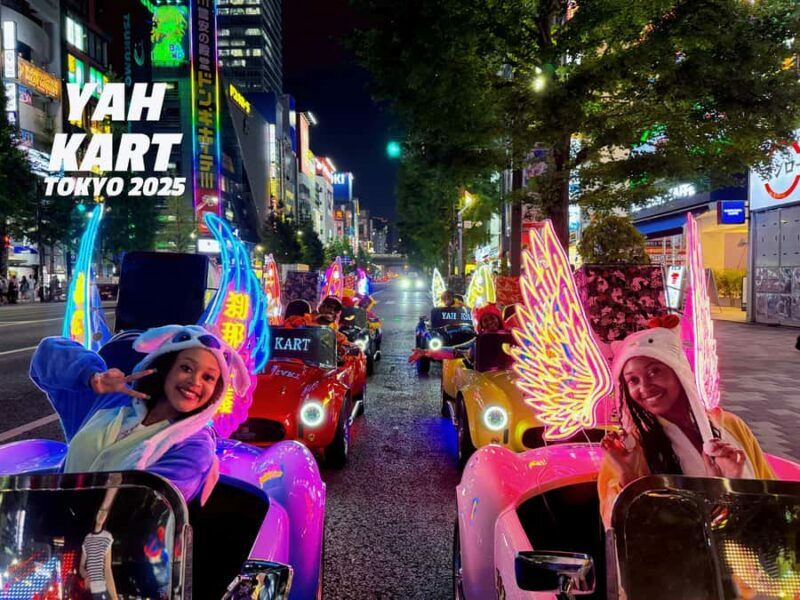 Tokyo: Akihabara Go-Karting Experience (including guide) - Key Points