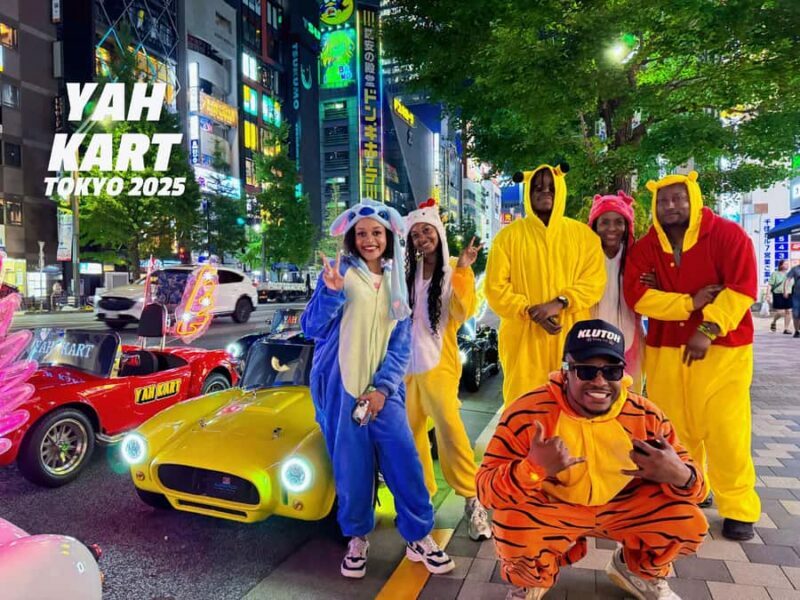 Tokyo: Akihabara Go-Karting Experience (including guide) - The Experience in Detail