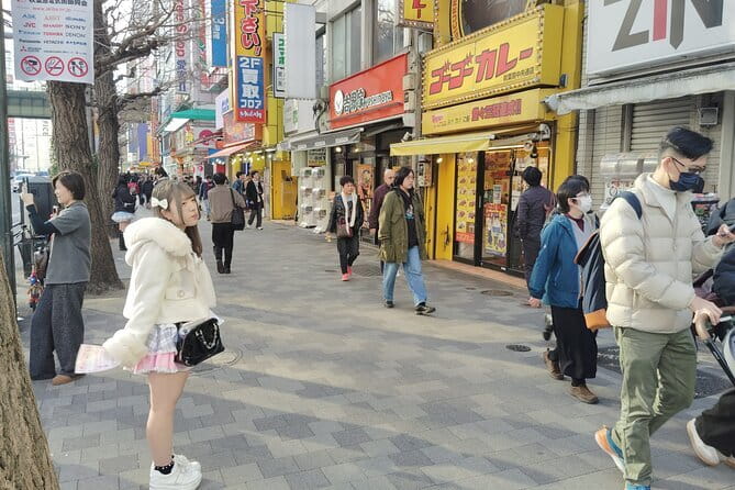 Tokyo: Akihabara Otaku Tour - 1.5h Guided Shopping - Akihabara: The Electric Town Playground