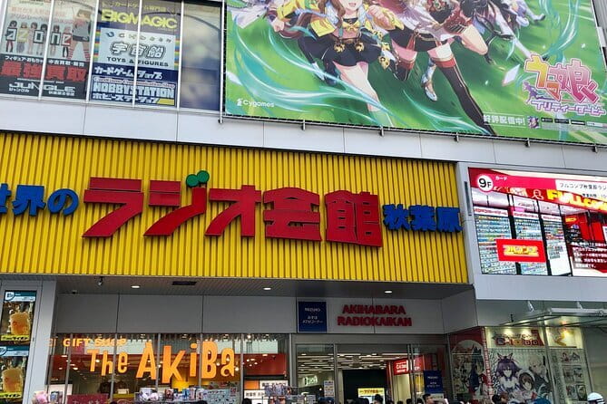 Tokyo Akihabara Private Custom Tour With Pickup - Key Points