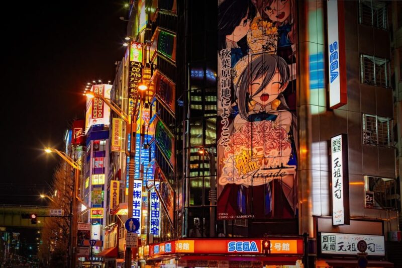 Tokyo: Akihabara, Shibuya, Karaoke & City Lights Night Tour - Tour Inclusions and Accessibility