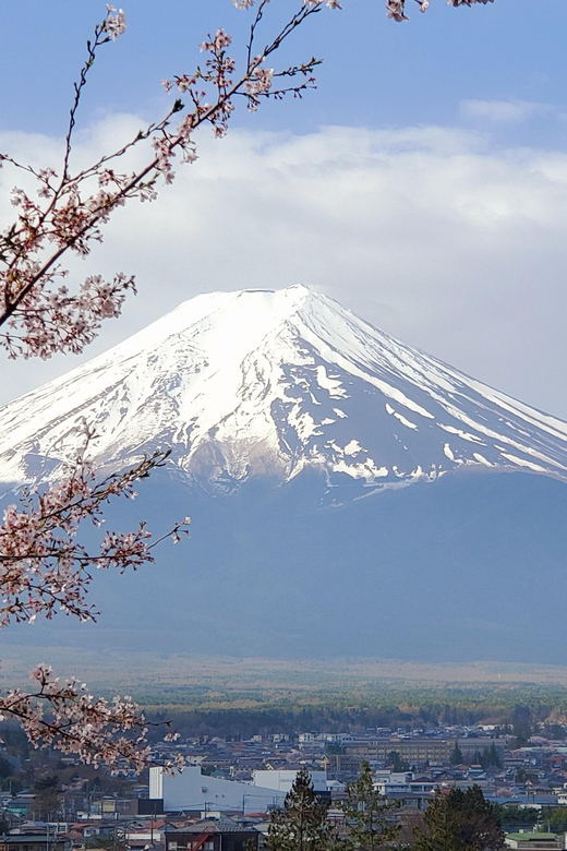 Tokyo and Mt. Fuji + Hakone 2-Days Private Tour - Tsukiji Fish Market