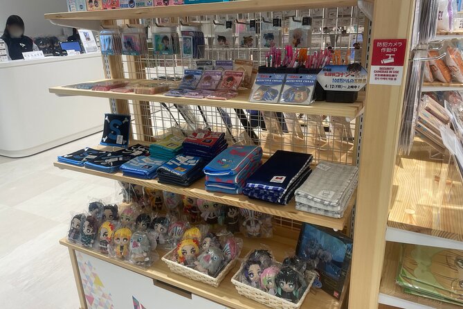 Tokyo Anime and Game Shopping Tour in Ikebukuro - Group Size and Accessibility