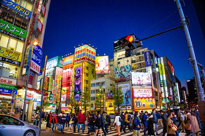 Tokyo Anime Tour - Immersive Anime Photo Opportunities