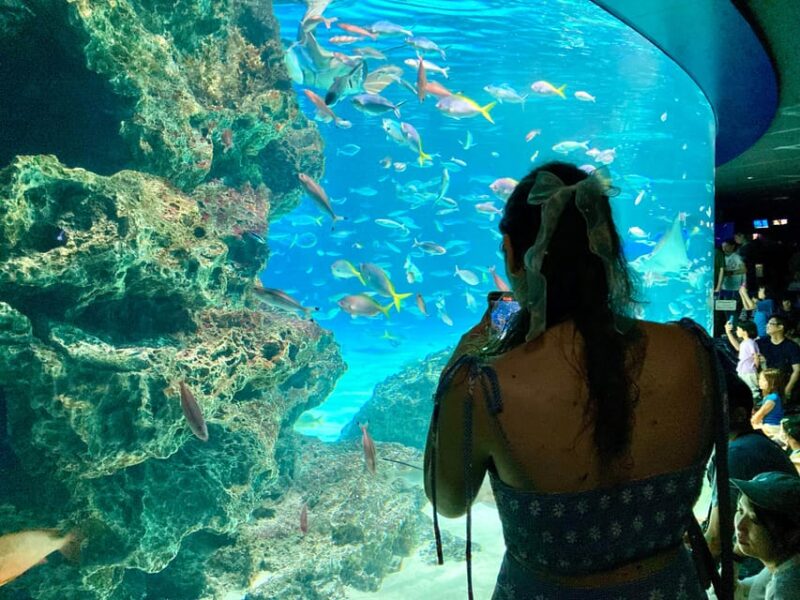 Tokyo : Aquarium Backyard Tour and Tokyo View Observatory - Key Points