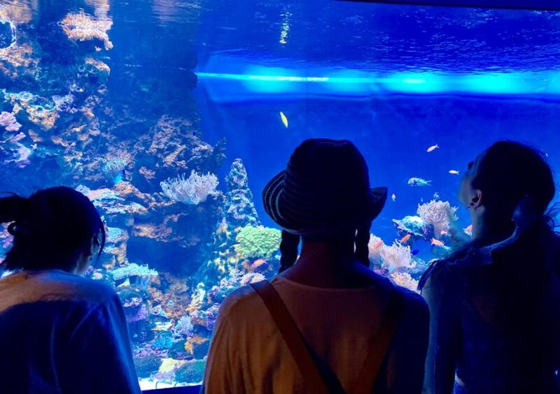 Tokyo : Aquarium Backyard Tour and Tokyo View Observatory - Aquarium Experience