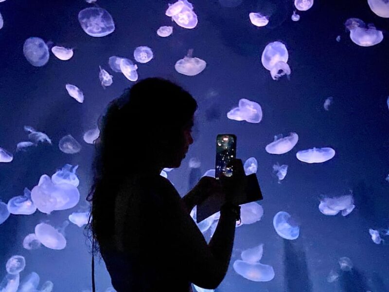 Tokyo : Aquarium Backyard Tour and Tokyo View Observatory - Observatory Visit