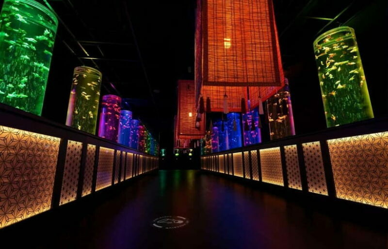 Tokyo: Art Aquarium Museum GINZA Entry Ticket - Authenticity and Cultural Significance