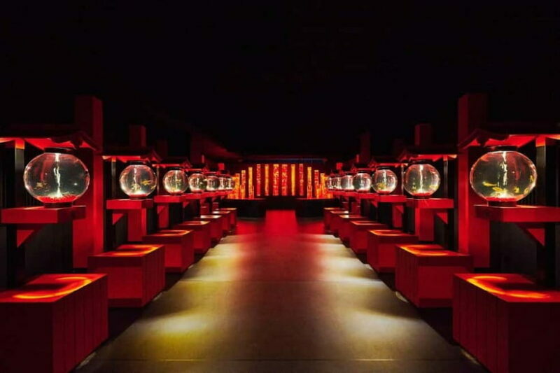 Tokyo: Art Aquarium Museum GINZA Entry Ticket - Practical Details and Tips