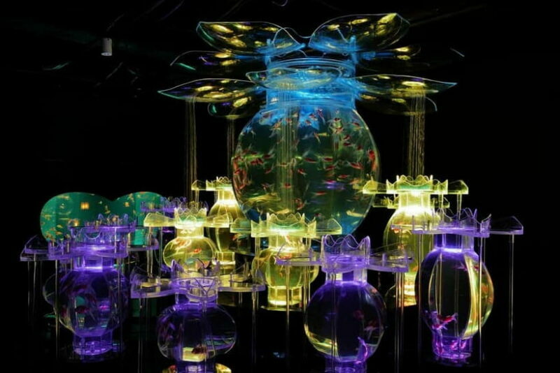 Tokyo: Art Aquarium Museum GINZA Entry Ticket - FAQ