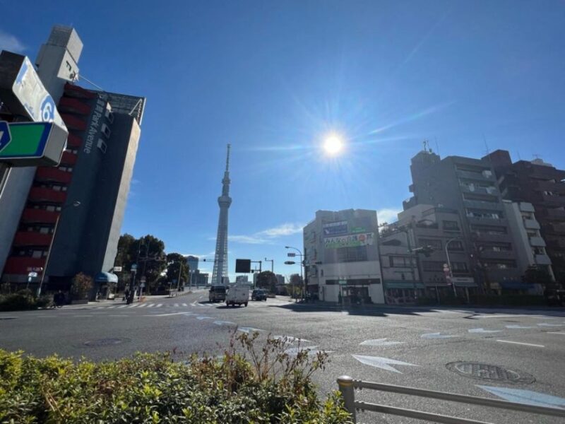Tokyo Asakusa Area Feel Buddhism and Shinto Walking Tour - Understanding Asakusa Shrine