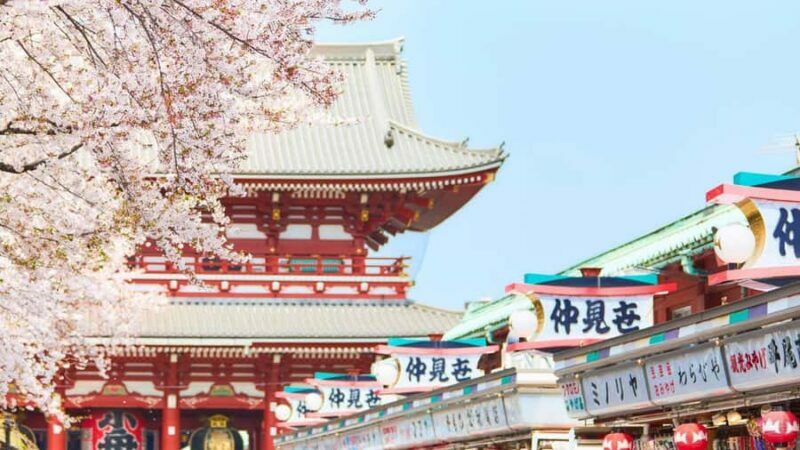 Tokyo: Asakusa Food & Culture Tour with Skytree & Sushi Make - The Practicalities: What to Expect