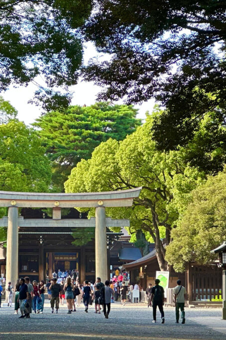 Tokyo: Asakusa, Meiji Shrine and Tsukiji Morning Tour - Transportation and Logistics