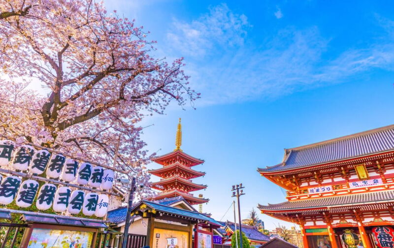 Tokyo : Asakusa & Sensoji Temple Walking Tour With a Local - Key Points