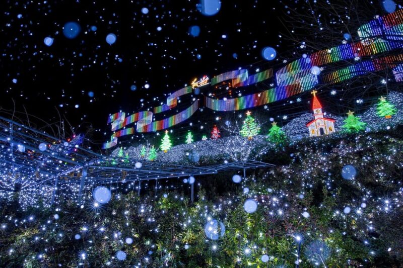 Tokyo: Ashikaga Flower Park With Entry Ticket - Key Points