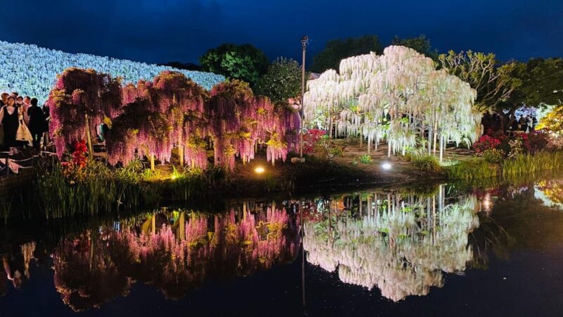 Tokyo: Ashikaga Flower Park With Entry Ticket - Ticket Inclusions