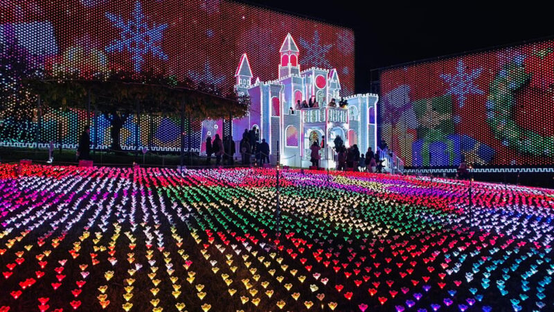 Tokyo: Ashikaga Flower Park With Entry Ticket - Ashikaga Flower Park Highlights