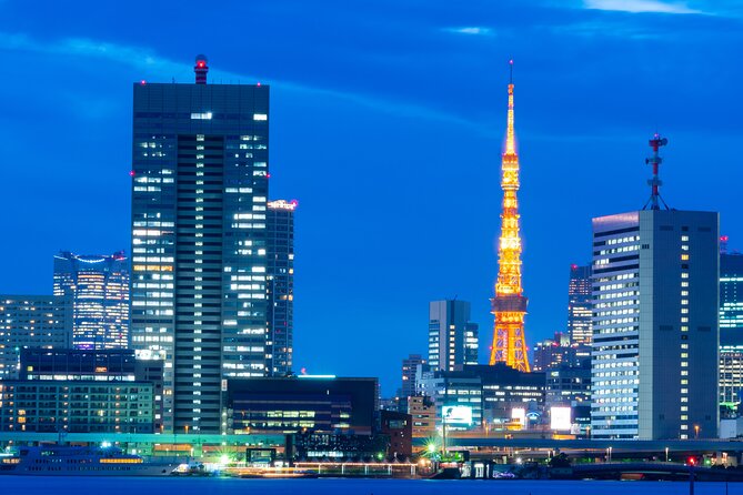 Tokyo Bay Cruise Yakatabune With Dinner Japan Show & Free Drinks - Accessibility and Regulations