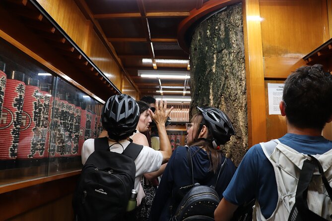 Tokyo Bay Sunset and Night View for 3h E-bike Guided Tour - Exploring Tokyo Bay by E-bike