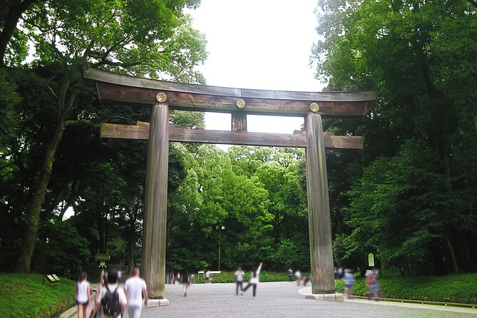 Tokyo Best West Part Tour by Public Transportation - Accessibility Features
