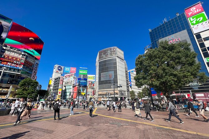 Tokyo Best West Part Tour by Public Transportation - Booking Options