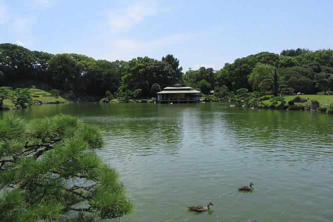 Tokyo by Bike: Skytree, Kiyosumi Garden and Sumo Stadium - Observing Ryogoku Sumo Stadium