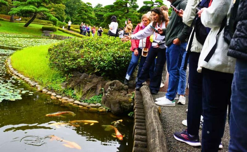 Tokyo Castle: Imperial Palace, Shogun & Garden Walking Tour - Key Points