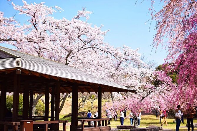 Tokyo Cherry Blossom, Hot Spring, and Strawberry Picking Tour - Delightful Strawberry Picking Experience