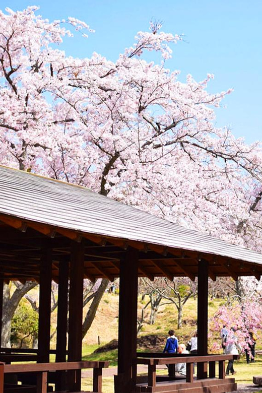 Tokyo: Cherry Blossom, Hot Spring, & Strawberry Picking Tour - Strawberry Picking Experience