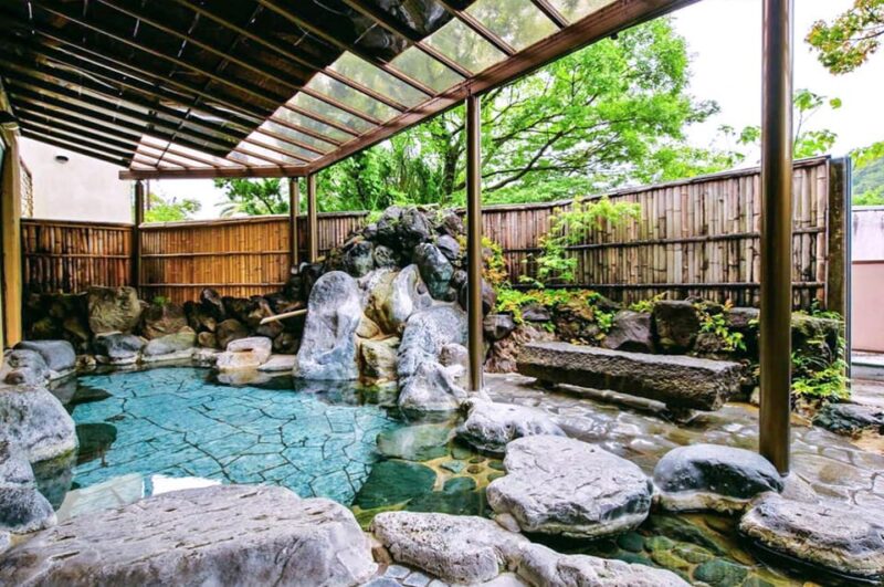 Tokyo: Cherry Blossom, Hot Spring, & Strawberry Picking Tour - Customer Review