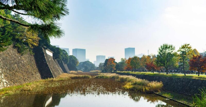 Tokyo: Chiyoda Imperial Palace Walking Tour - Itinerary