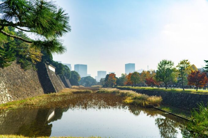 Tokyo: Chiyoda Imperial Palace Walking Tour - Guided Experience