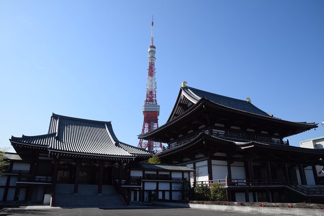Tokyo City 1-Day Private Tour With Bilingual Driver - Positive Customer Experiences