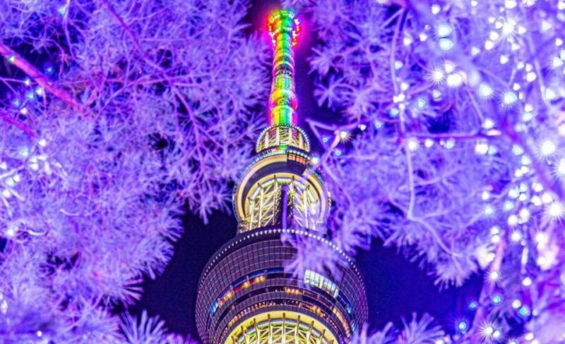 Tokyo City Customized Tour With English Speaking Guide - Pickup and Duration