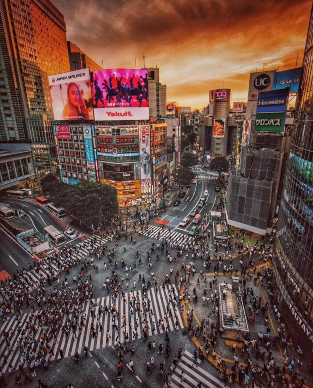 Tokyo City Day Tour With Englisg Speaking Driver. - Communication and Accessibility