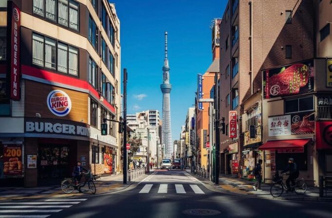 Tokyo City Day Tour With Englisg Speaking Driver. - Customizing Your Itinerary