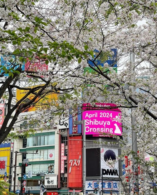 Tokyo City Day Tour With Englisg Speaking Driver. - Hotel Pick-up and Drop-off