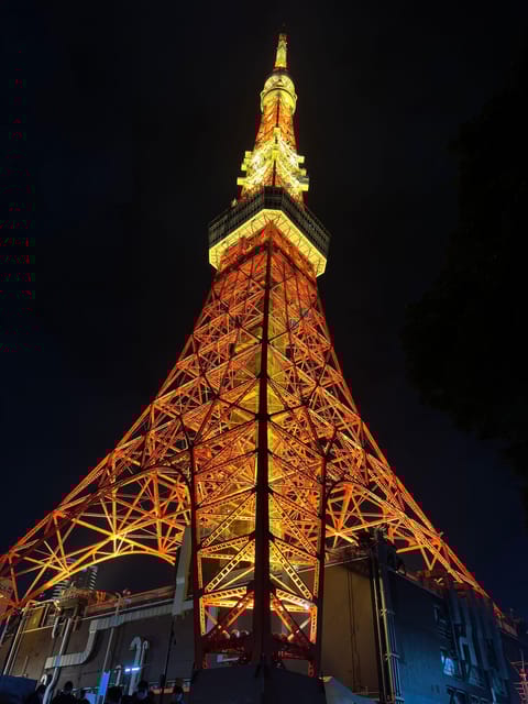 Tokyo City Full Day Tour With Pick-Up & Drop-Off - Shibuya Crossing