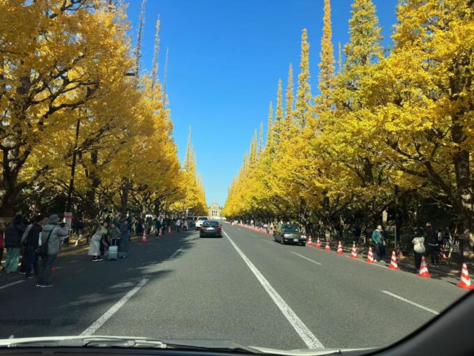 Tokyo City Full Day Tour With Pick-Up & Drop-Off - Frequently Asked Questions