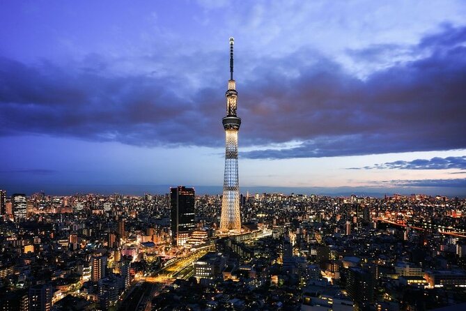 Tokyo City Private Tour Review - Inclusions