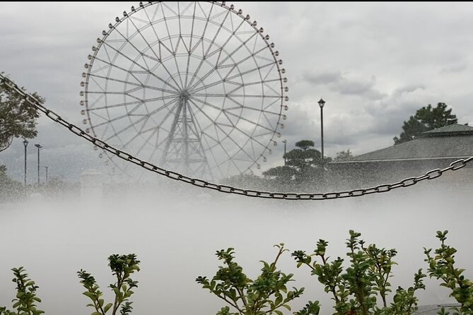 Tokyo City Private Tour Review - Accessibility and Participation