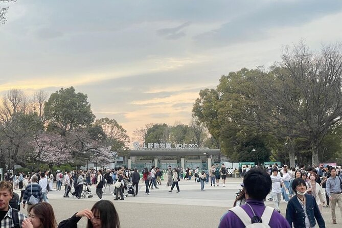 Tokyo City Private Tour Review - Booking Information