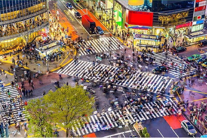 Tokyo City Tour by Private Car & English Guide - Tour Experience